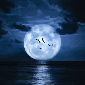 Mystical Moon
