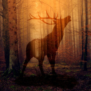 Horned Deer Spirit in Woodland