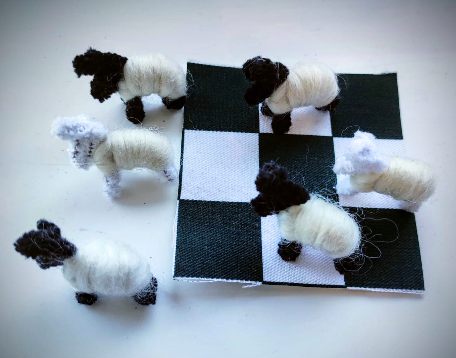 Wishing Sheep